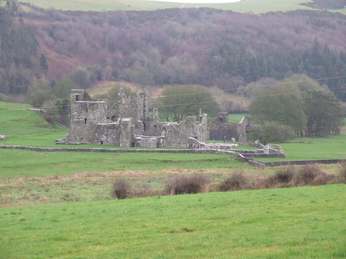Mullaghmeen Forest Mullingar Ngoại thất bức ảnh
